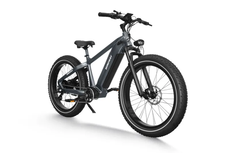 Himiway Zebra D5 Fat Tyre Ebike-1